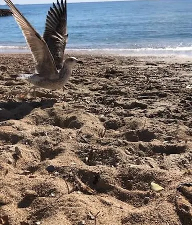 Lou Pitchou, Le T1 Apartment La Ciotat