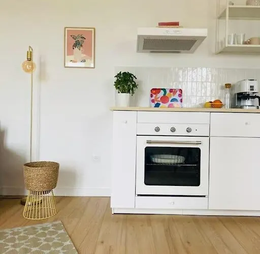 Lou Pitchou, Le T1 Apartmán *